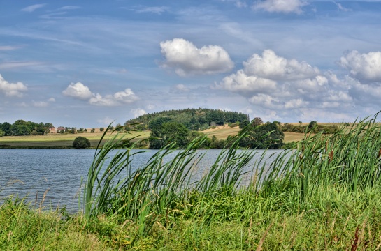 Myštice , rybník Labuť 