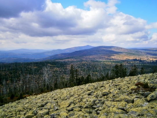 Lusen - Luzný ( 1376 m )