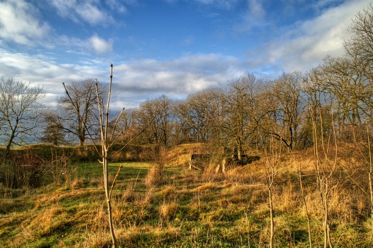 Vrch Oškobrh