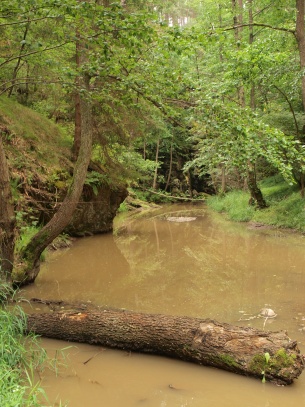 Židova strouha