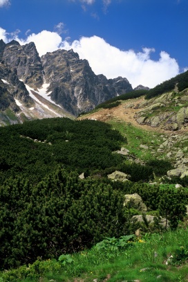 Vysoké Tatry, Mengusovská dolina