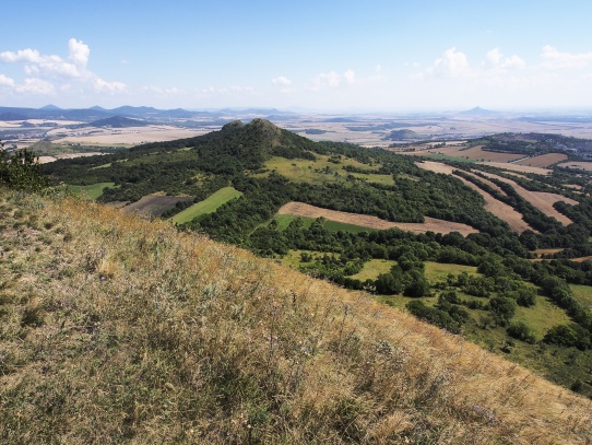 Oblík, České středohoří