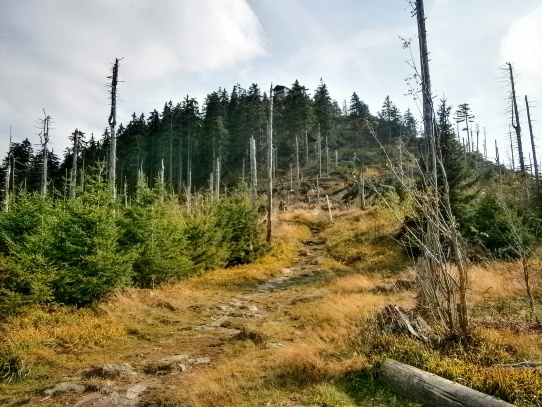 Velký Ostrý/ „Grosser Osser“ (1293 m n.m.)