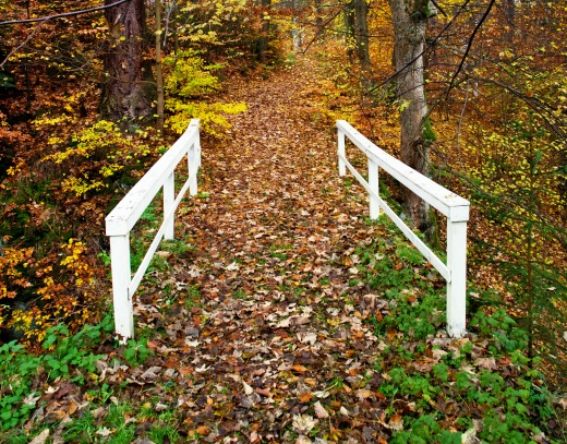 Zámek a park Kynžvart