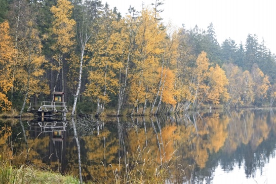 Národní přírodní rezervace Kladské rašeliny