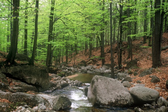 Vodopád Velký Štolpich ( Černý )