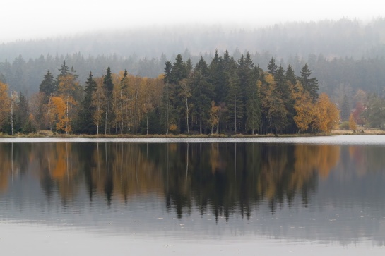 Národní přírodní rezervace Kladské rašeliny