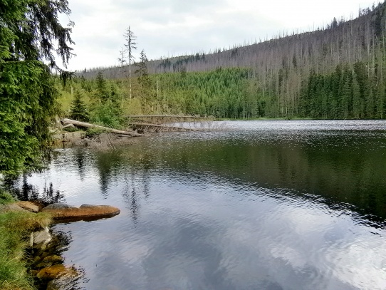 Poledník a Prášilské jezero