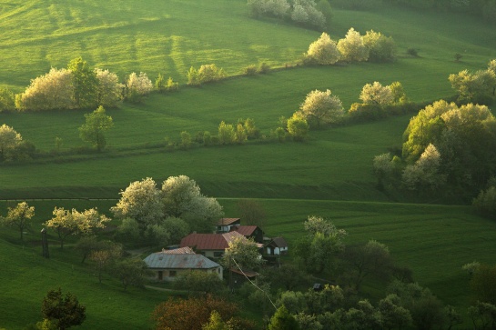 Jaro pod Mikulčákem