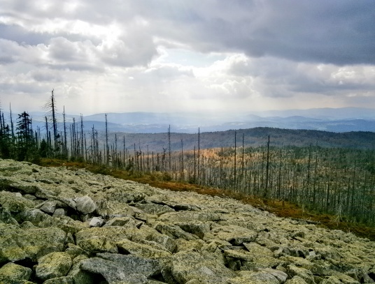 Lusen - Luzný ( 1376 m )