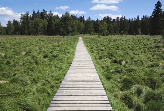 Národní přírodní rezervace Kladské rašeliny