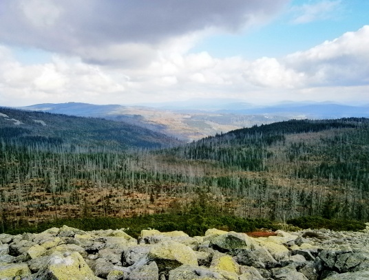 Lusen - Luzný ( 1376 m )