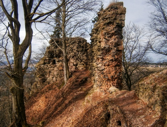 Zřícenina hradu Bradlec 