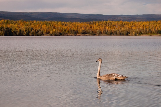 Jezero Barbora