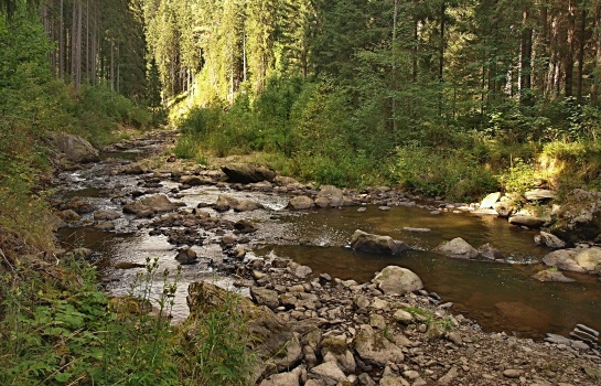 Zřícenina hradu Hus u Prachatic