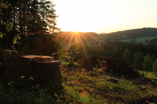 Paseky nad Jizerou