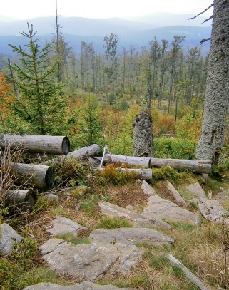 Siebensteinkopf – Sedmiskalí ( 1263 m ).