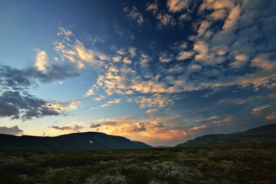 NORSKO - soumrak v NP Dovrefjell