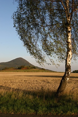 Lovoš pod břízou