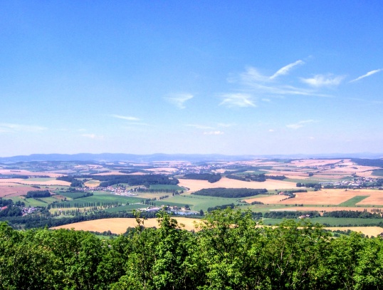 Zřícenina hradu Rýzmberk