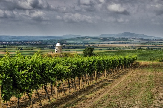 Pálava, Pavlovské vrchy, z vinic u kaple nad Velkými Bílovicemi