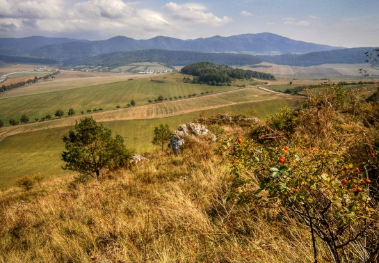 Spišský hrad