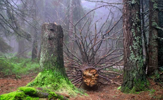 Vysoké Tatry, Mengusovká dolina