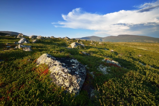 NORSKO - NP Dovrefjell