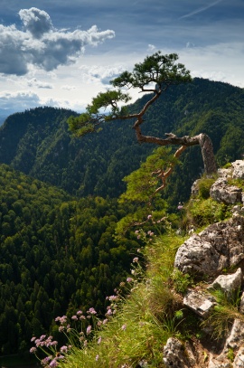 Pieniny