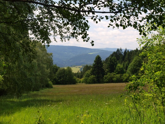 Ždánov u Kašperských Hor