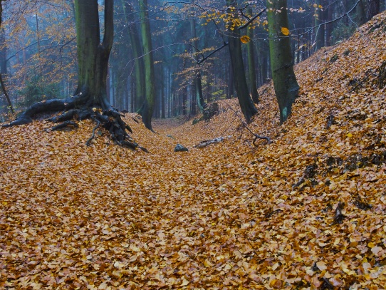 Podzimní déšť