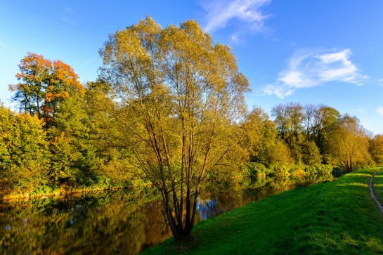 Podzimní řeka Olše u Českého Těšína