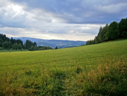 Rozhledna na Mařském vrchu u Vimperka