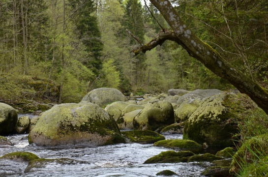 Šumava , Povydří 