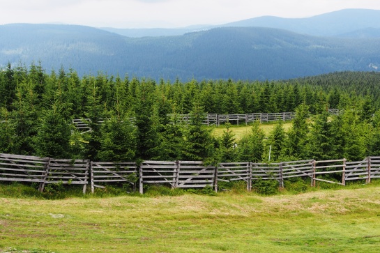 Krajina z Plání, Krkonoše