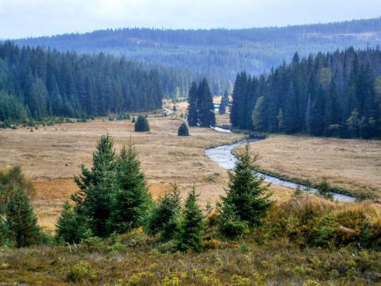 Tříjezerní slať 