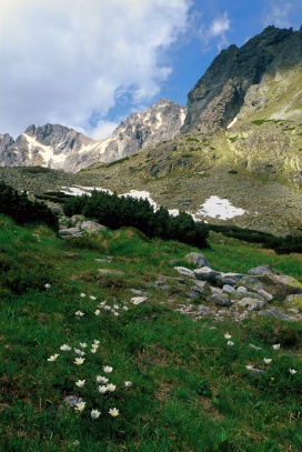 Velké Hincovo pleso, Vysoké Tatry