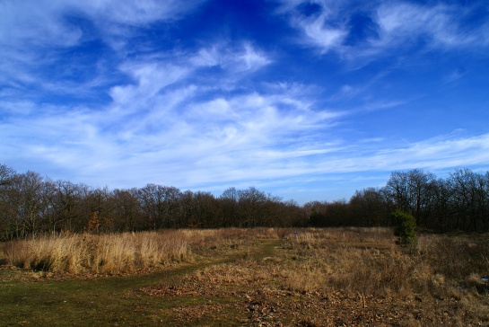 Oppidum Závist akropole