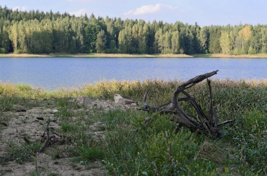 téměř vyprahlé jezero v Brdech 