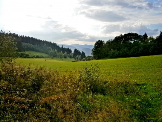 Rozhledna na Mařském vrchu u Vimperka