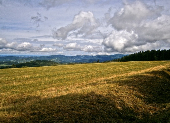 Pod Březníkem 