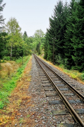 Muzejní železnice Preßnitztalbahn