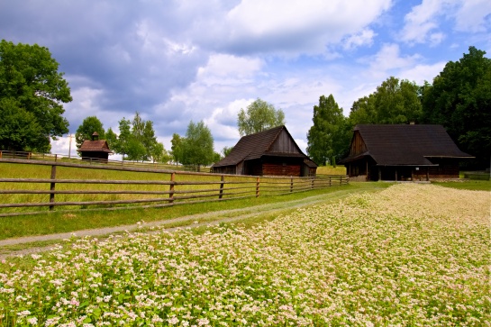 Valašské muzeum v přírodě