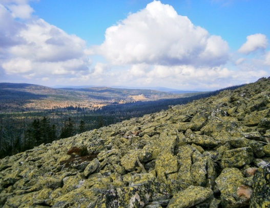 Lusen - Luzný ( 1376 m )