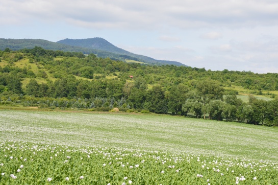 Krajina Litoměřicka 