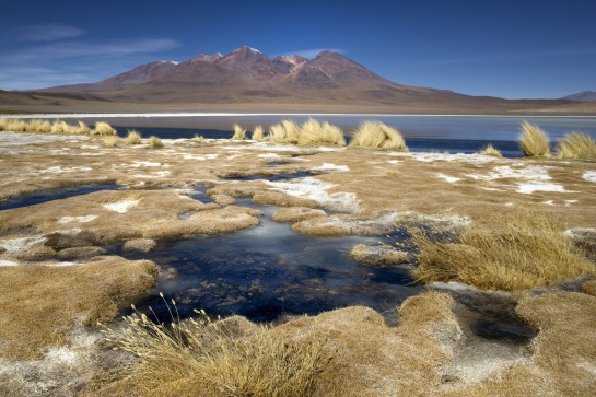 Laguna Blanca