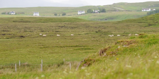 SKOTSKO - vesnička u QUIRAING