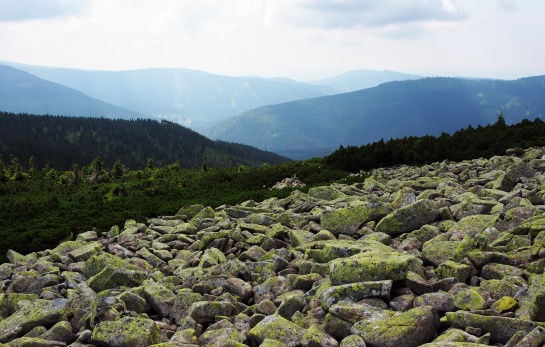 Krkonoše od Velkého Šišáku