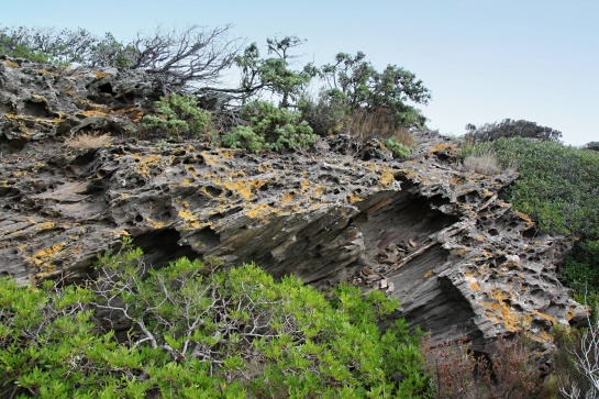 Cap de Creus