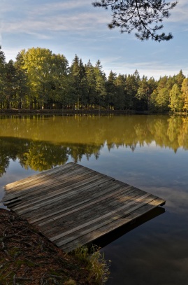 Sobenský rybník , Zalány 